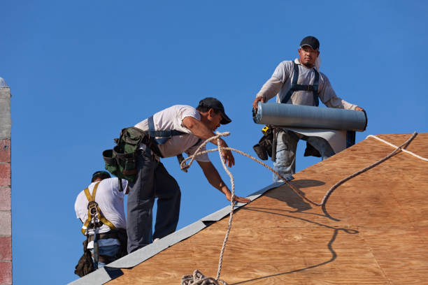 Best Slate Roofing Contractor  in Bronson, MI