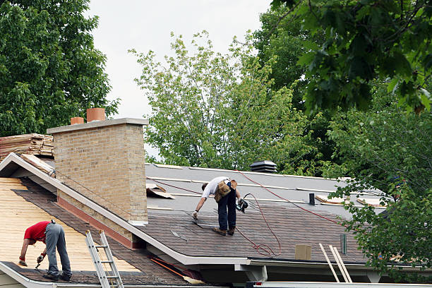 Best Roof Maintenance Services  in Bronson, MI