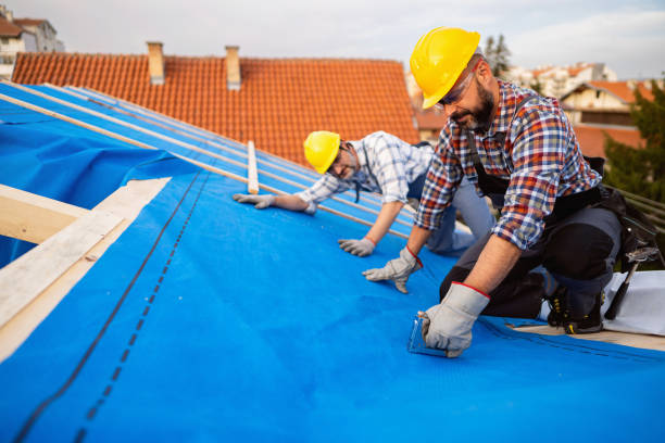 Best Residential Roofing Contractor  in Bronson, MI