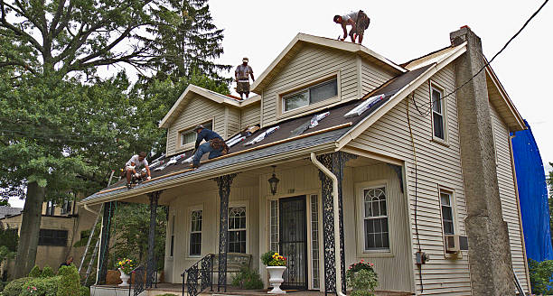 Best Roof Repair Services  in Bronson, MI